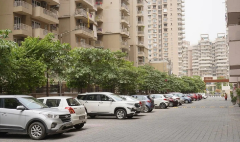 How can checking which direction the main living room window faces help you understand light and heat inside the flat