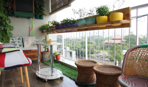 Why is it useful to check how windy your balcony gets before choosing delicate plants